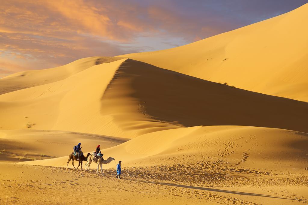Camel Trek Bivouac Ξενοδοχείο Merzouga Δωμάτιο φωτογραφία